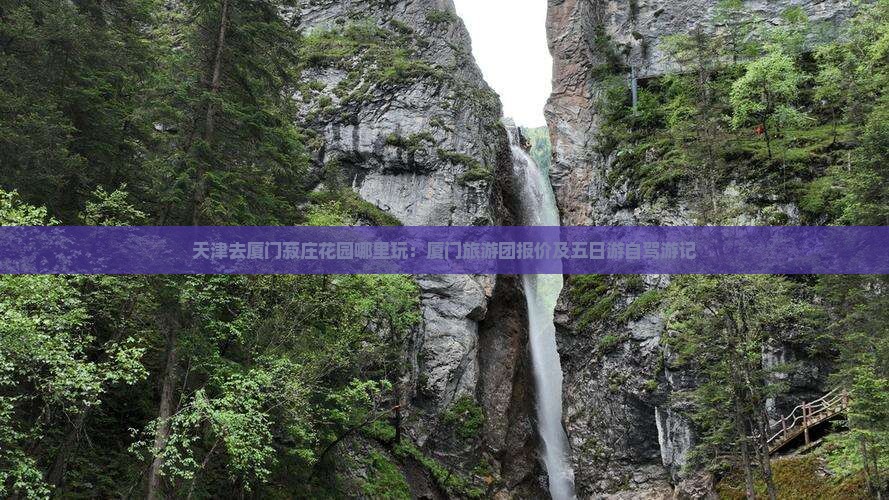 天津去厦门菽庄花园哪里玩：厦门旅游团报价及五日游自驾游记