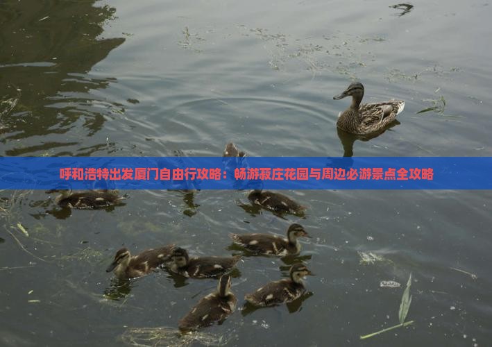 呼和浩特出发厦门自由行攻略：畅游菽庄花园与周边必游景点全攻略