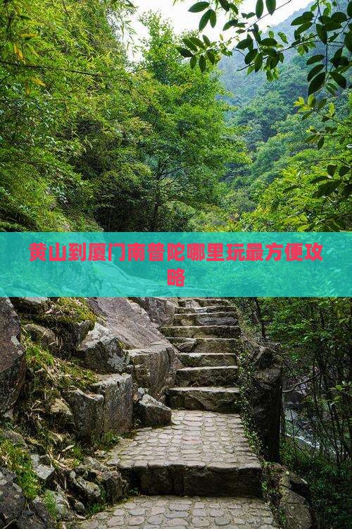 黄山到厦门南普陀哪里玩最方便攻略