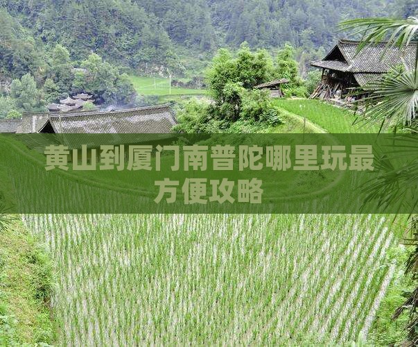 黄山到厦门南普陀哪里玩最方便攻略