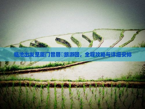 临沧出发至厦门曾厝垵旅游团，全程攻略与详细安排