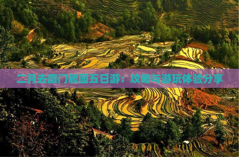 二月去厦门毓园五日游：攻略与游玩体验分享