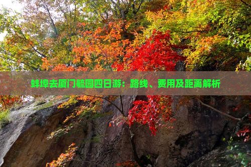 蚌埠去厦门毓园四日游：路线、费用及距离解析