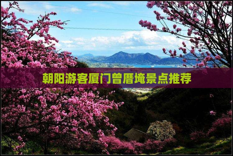 朝阳游客厦门曾厝埯景点推荐