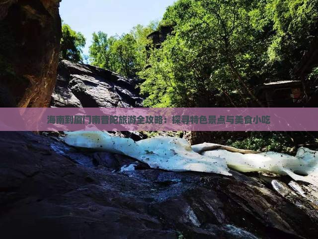 海南到厦门南普陀旅游全攻略：探寻特色景点与美食小吃
