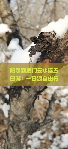 阳泉到厦门云水谣五日游：一日游自由行、旅游攻略及距离