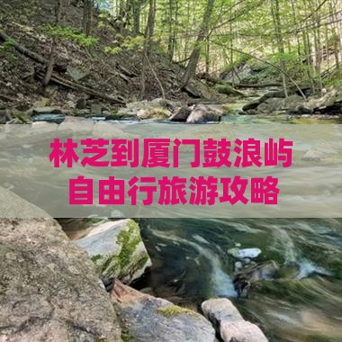 林芝到厦门鼓浪屿自由行旅游攻略