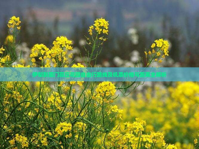 伊犁到厦门菽庄花园自由行路线及机票价格与距离全解析