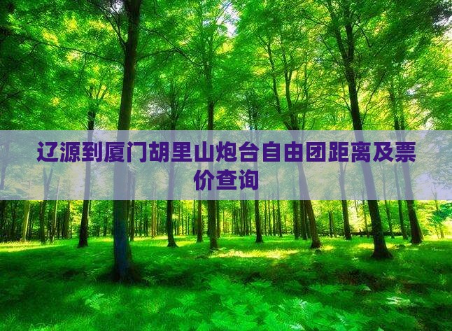 辽源到厦门胡里山炮台自由团距离及票价查询