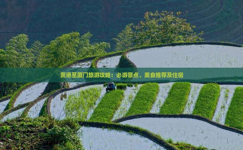 贵港至厦门旅游攻略：必游景点、美食推荐及住宿