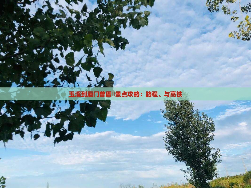 玉溪到厦门曾厝垵景点攻略：路程、与高铁