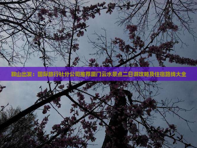鞍山出发：国际旅行社分公司推荐厦门云水景点二日游攻略及住宿路线大全