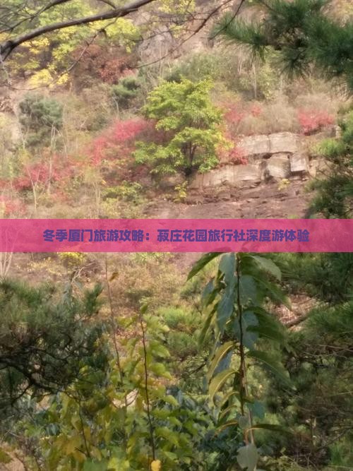 冬季厦门旅游攻略：菽庄花园旅行社深度游体验
