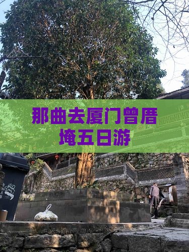 那曲去厦门曾厝埯五日游