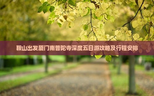 鞍山出发厦门南普陀寺深度五日游攻略及行程安排