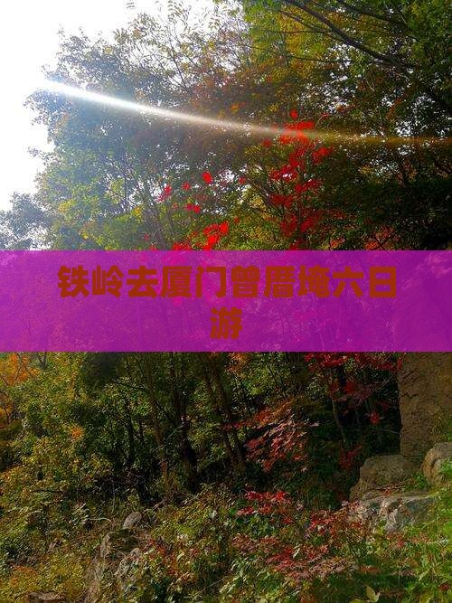 铁岭去厦门曾厝埯六日游