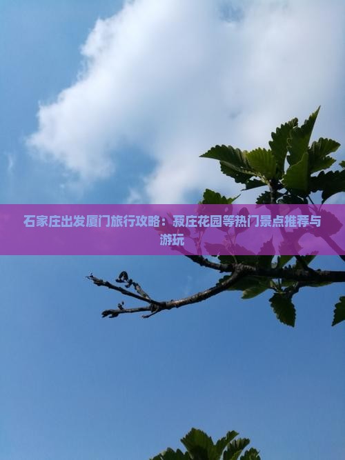 石家庄出发厦门旅行攻略：菽庄花园等热门景点推荐与游玩