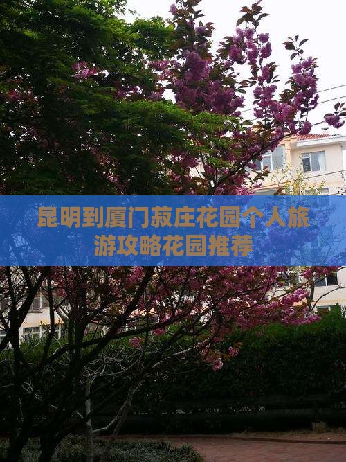 昆明到厦门菽庄花园个人旅游攻略花园推荐