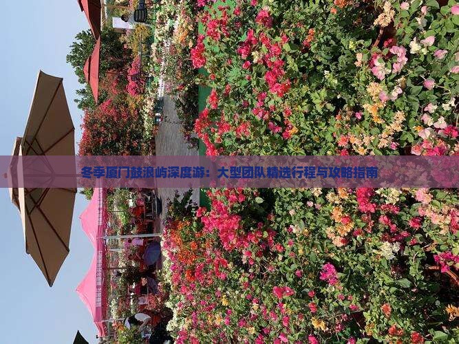 冬季厦门鼓浪屿深度游：大型团队精选行程与攻略指南