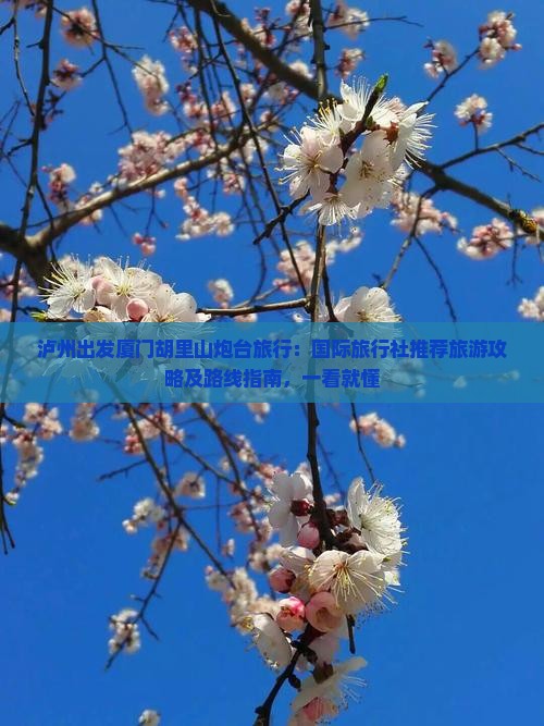 泸州出发厦门胡里山炮台旅行：国际旅行社推荐旅游攻略及路线指南，一看就懂