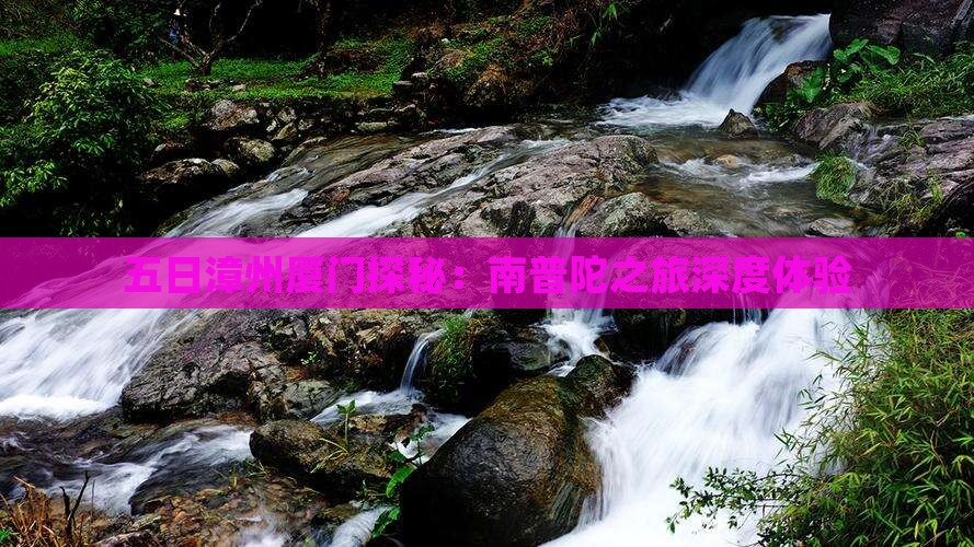 五日漳州厦门探秘：南普陀之旅深度体验