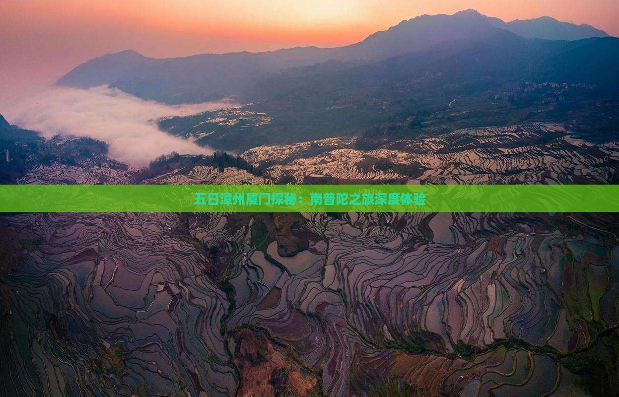 五日漳州厦门探秘：南普陀之旅深度体验