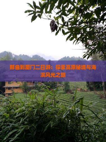 那曲到厦门二日游：探索高原秘境与海滨风光之旅