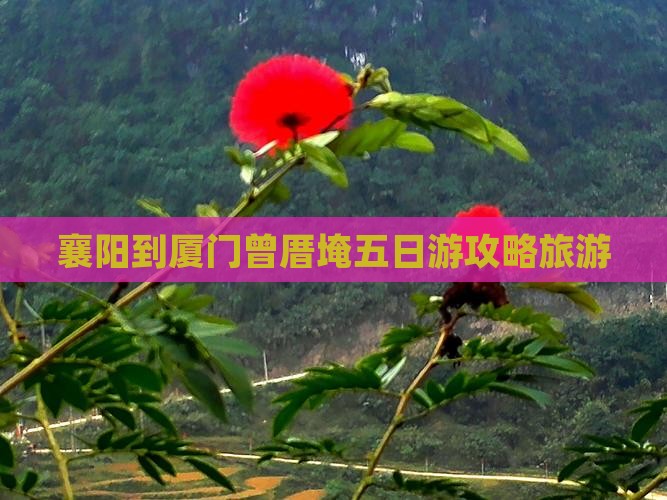 襄阳到厦门曾厝埯五日游