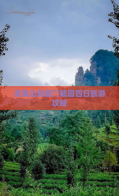 武夷山到厦门毓园四日游