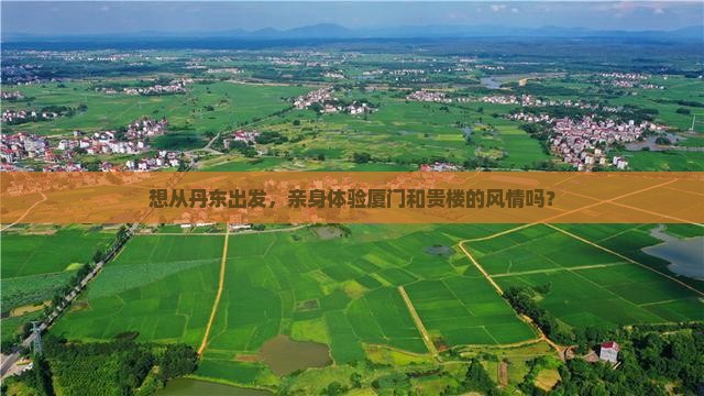 丹东去厦门和贵楼旅行社