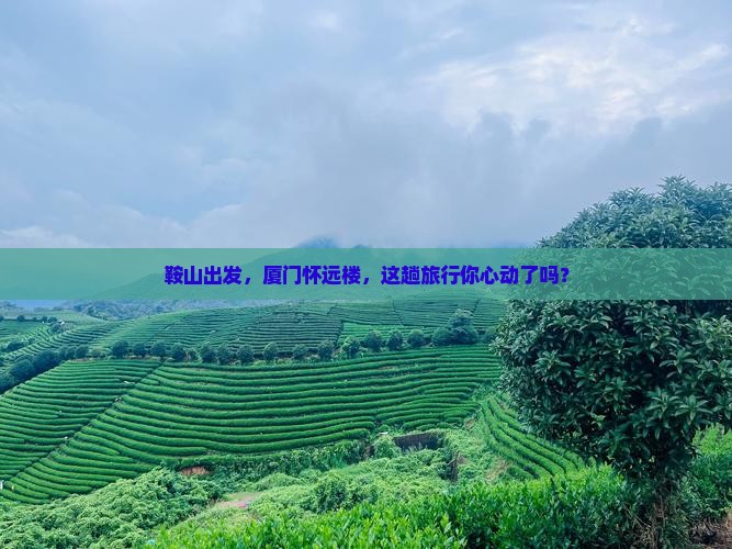 鞍山去厦门怀远楼旅游