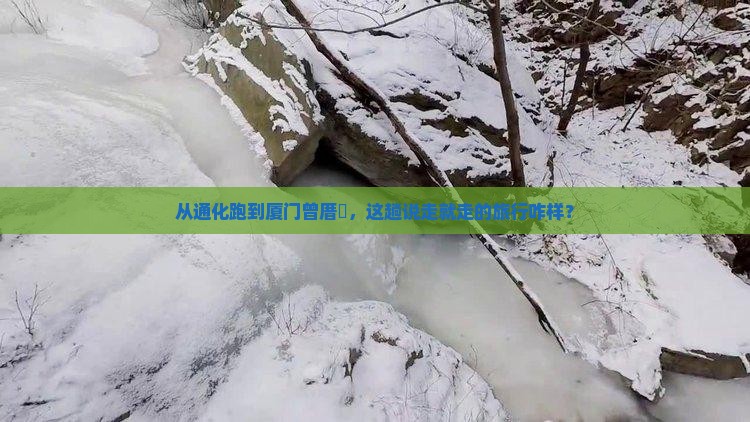 通化到厦门曾厝埯一日