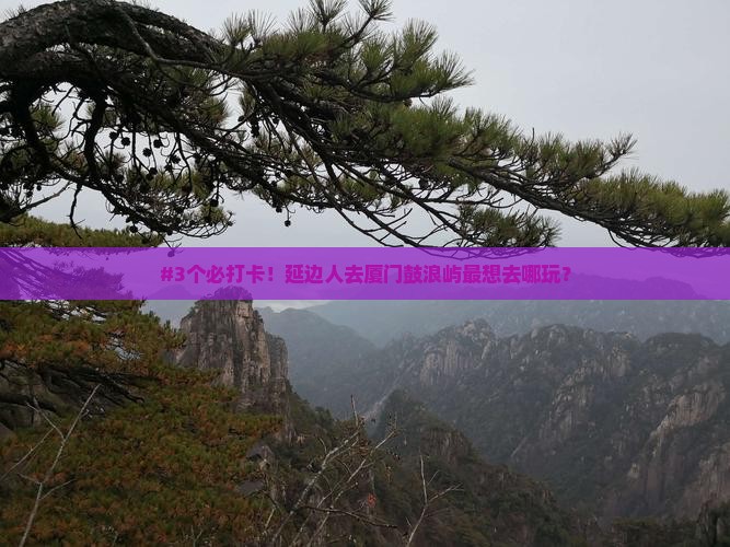 延边去厦门鼓浪屿景点