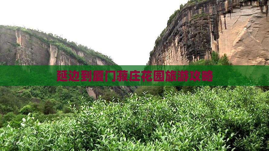 延边到厦门菽庄花园旅游