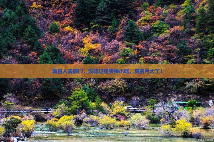 莆田去厦门和贵楼旅游小吃