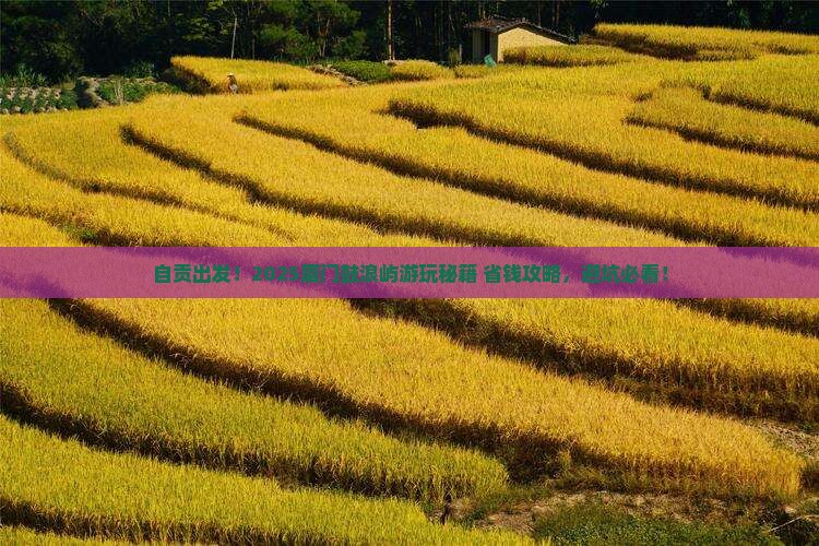 自贡去厦门鼓浪屿哪里玩