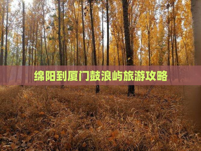 绵阳到厦门鼓浪屿攻略