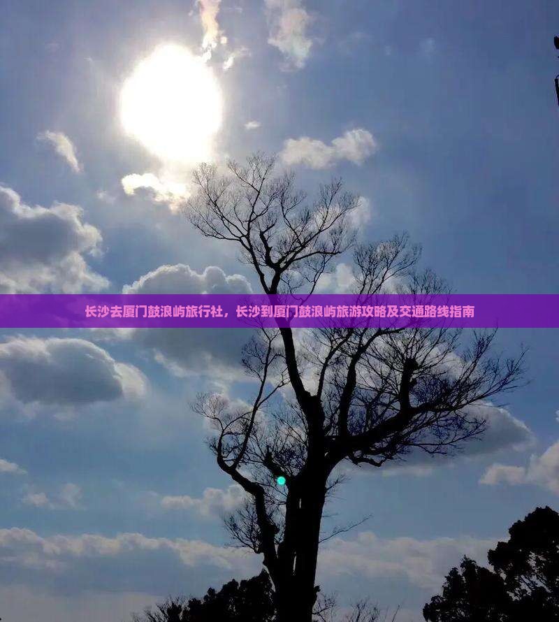 长沙去厦门鼓浪屿旅行社
