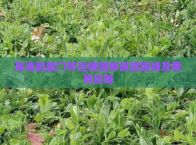 珠海到厦门怀远楼团体旅游