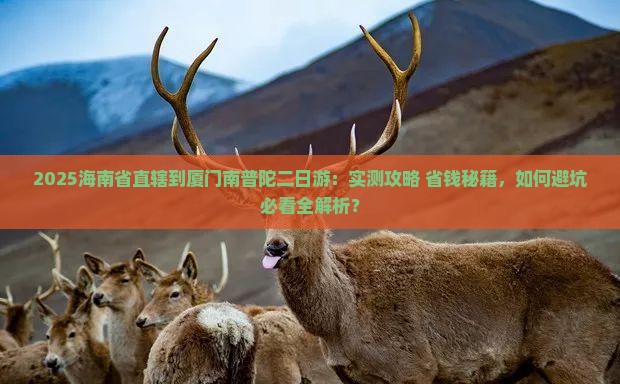 海南省直辖到厦门南普陀二日游