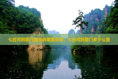 七台河到厦门鼓浪屿哪里玩