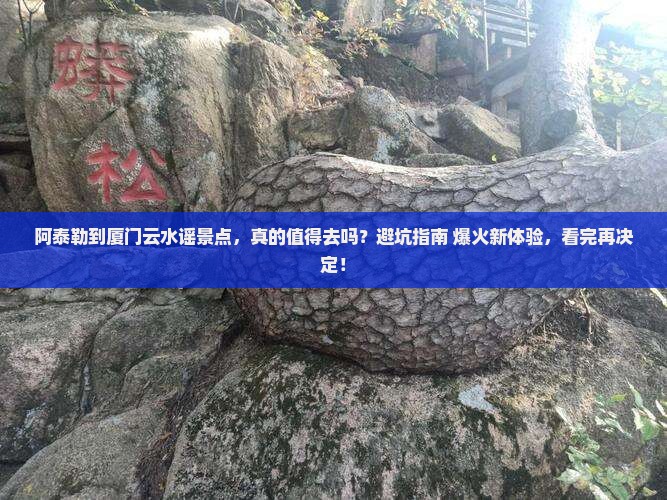 阿泰勒到厦门云水谣景点