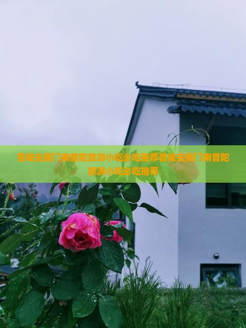 晋城去厦门南普陀旅游小吃