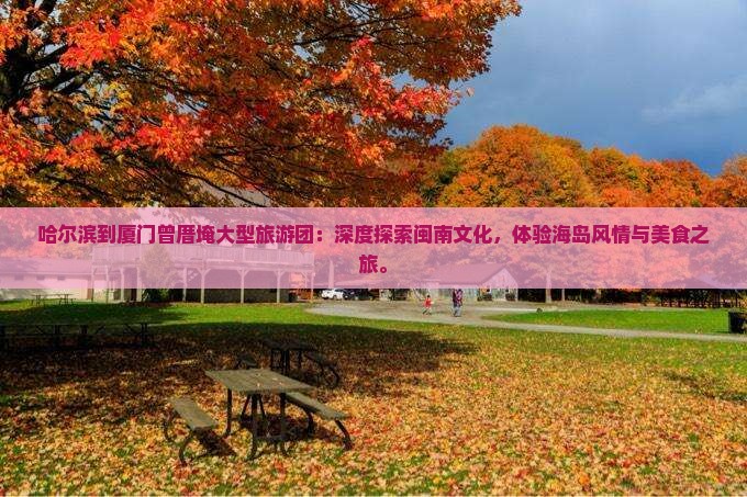 哈尔滨到厦门曾厝埯大型旅游团