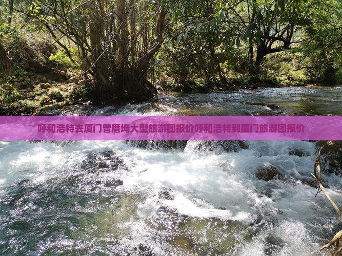 呼和浩特去厦门曾厝埯大型旅游团