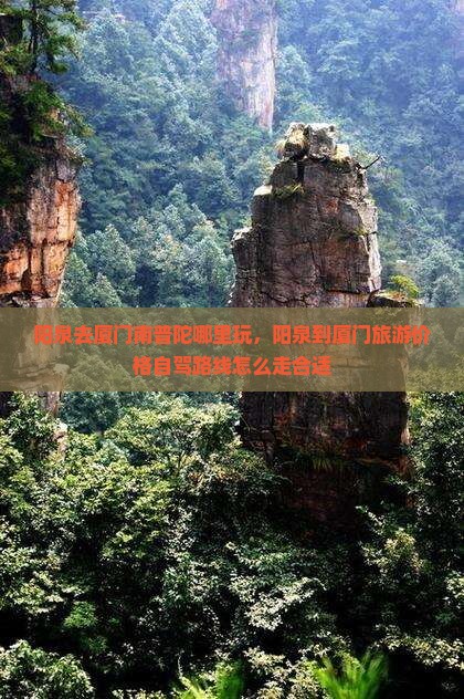 阳泉去厦门南普陀哪里玩