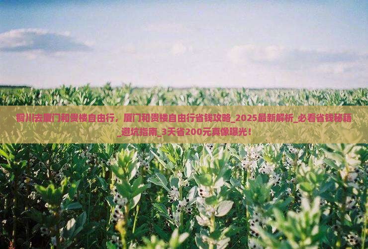 铜川去厦门和贵楼自由行