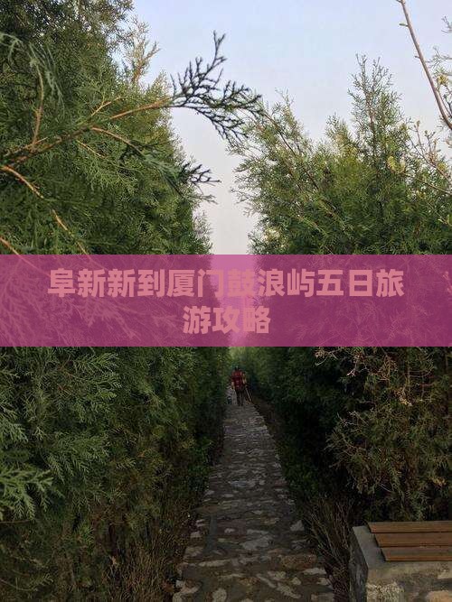 阜新新到厦门鼓浪屿五日旅游攻略