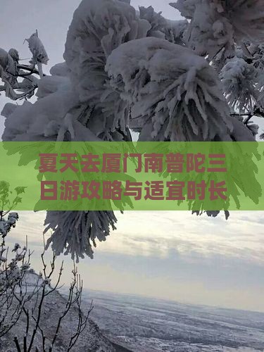 夏天去厦门南普陀三日游攻略与适宜时长探讨