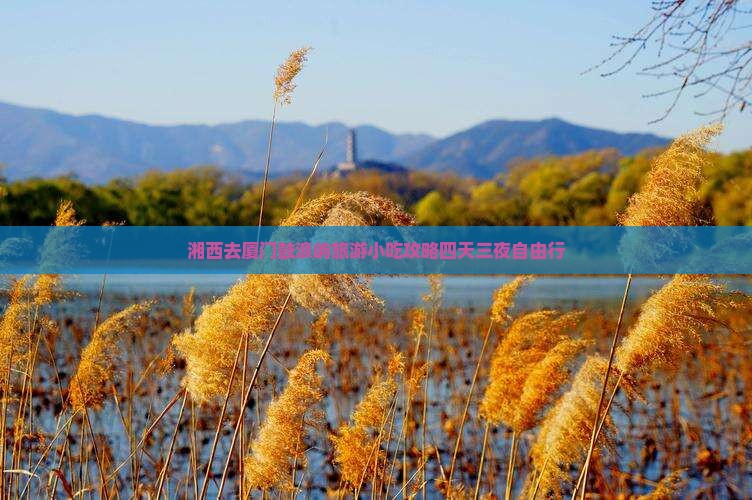 湘西去厦门鼓浪屿旅游小吃攻略四天三夜自由行